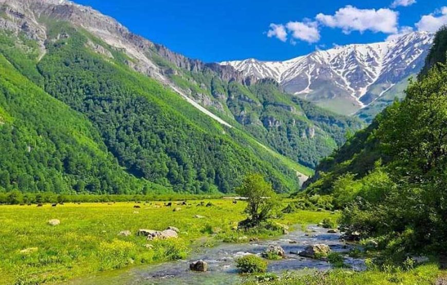 دشت دریاسر –  آلپ ایران