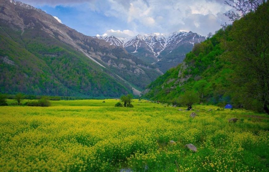 دشت دریاسر –  آلپ ایران