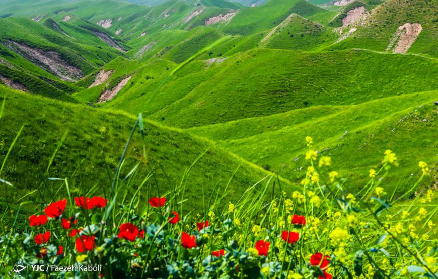 کمپ ترکمن صحرا  (تپه ماهورهای خالد نبی)