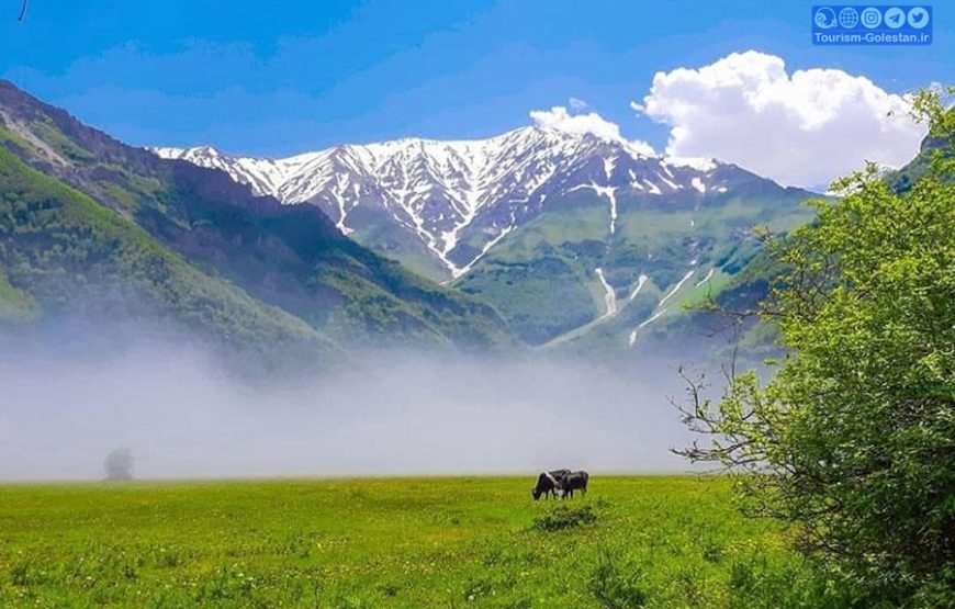 دشت دریاسر –  آلپ ایران